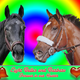 Illustration for article titled Its Getting Crowded In Horse Valhalla